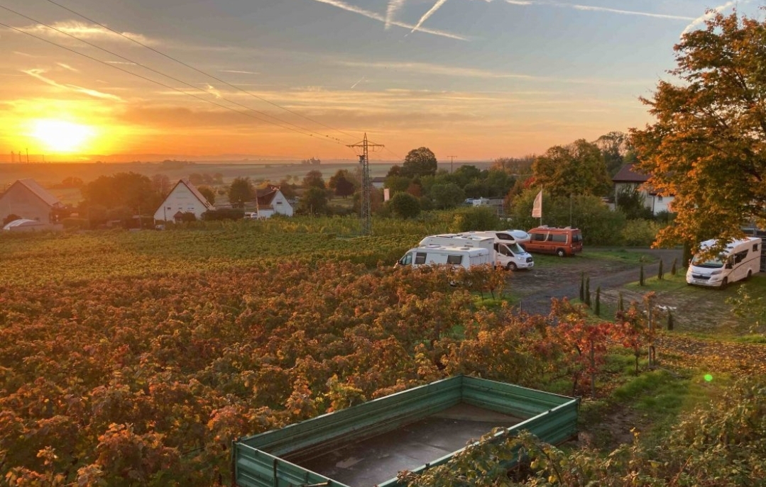 Weingut Benß — photo 3